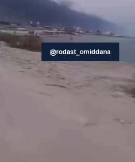 🚨🚨 סטטוס קשם עכשיו