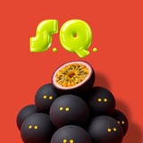 Сквош-клуб S.Q.
