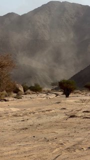 DAKAR 2026 STAGE 2 (YNBU - ALULA)t.me/s/sochiautopartssochiautoparts.ru#sochiaut
