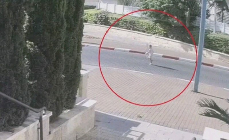 עדי זריפי