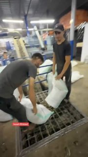 וידאו | אווירת כבישת זיתים בעיירה בית רימא, צפונית מערבית לרמאללה.