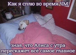 Первый мундиаль на 48 команд идёт сразу в трёх странах, и многие матчи проходят поздно ночью по Москве.Наутро остаётся собирать картину турнира по новостям или обсуждать в том же разговоре в чате с Алисой AI. Она обычно сразу отвечает на конкретные вопросы