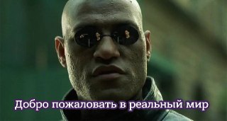 Губернатор Ленобласти признался, что топливный кризис в регионе коснулся и его семьи: https://lentach.media/iBBUz