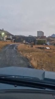 אנחנו מקור מזון וזהו. דמיטרי Beleniuk, צייד ומרצה באוניברסיטת קרסנורסק Agrarian, אמר @ngs24 krsk מדוע קוטב…