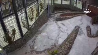 Пятница, последний рывок перед отдыхом. Начинаем не с кофе, а с амурской тигрицы Агафьи — пусть зарядит вас на день. Хвостатая живёт по идеальному предвыходному графику — отлёживается, купается и релаксирует.желаем и вам того же❗ Не грузятся фото и видео? 