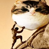 Cawai cQuute химоза