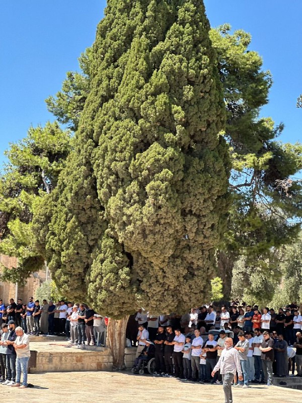 עשרות אלפים מקיימים תפילת יום שישי במסגד אל-אקצא המבורך