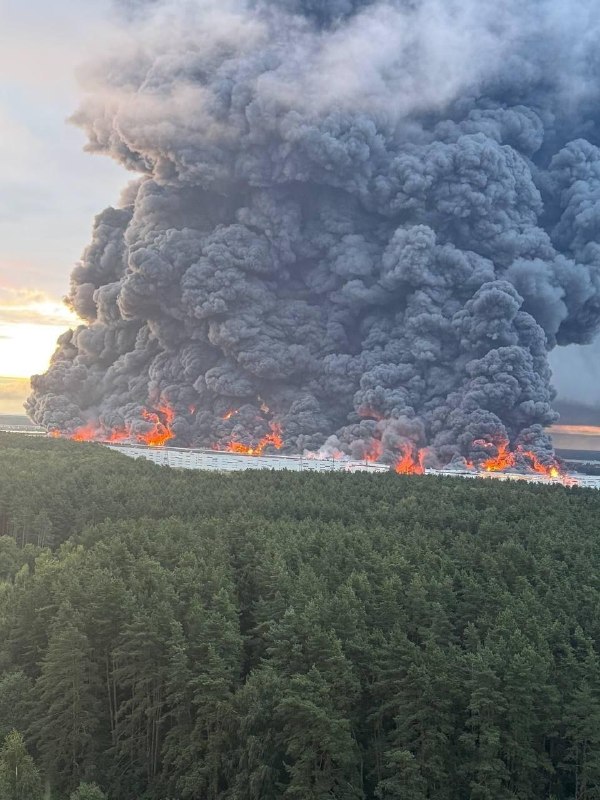 The Wildberries warehouse near Moscow, today.