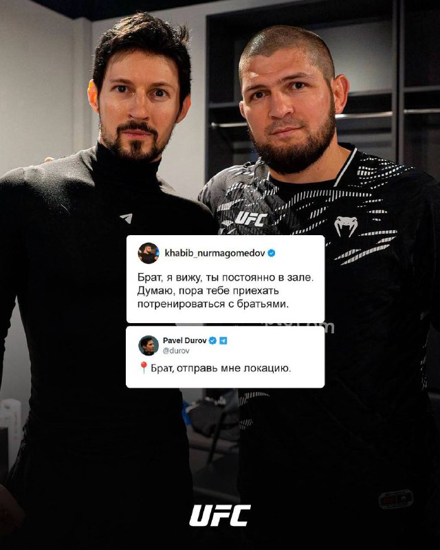 Чемпион UFC фото