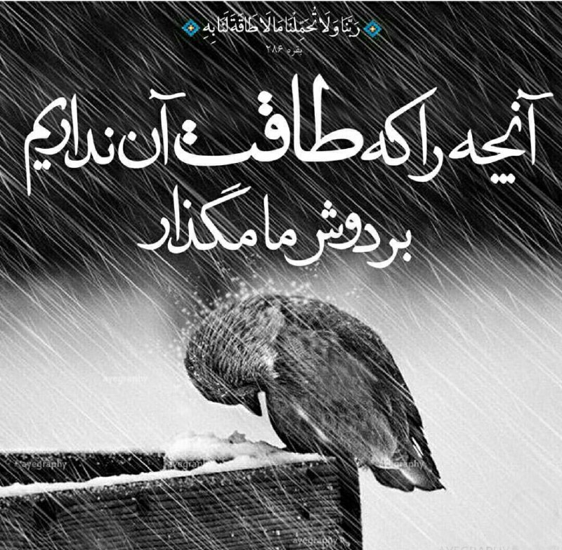 💝 احساس شیرین💝: خدایا...خودت ما رو آفریدی و می دونی کم طاقتیمصبر نداریم خیلی جاها کم میاریمپس خودت مواظبمون باش و تو سختیها کمکمون کن که