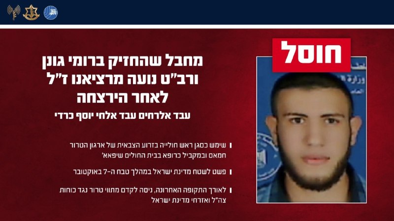דובר צה"ל: