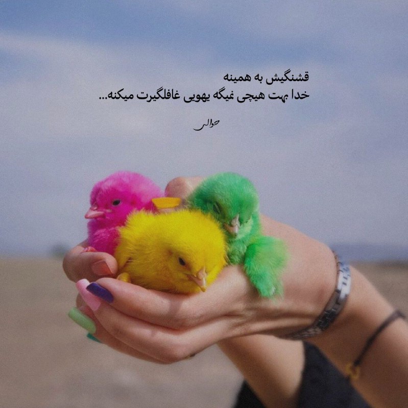 🌹👌سخنان ناب و پند آموز👌🌹: قشنگیش به همینهخدا بهت هیچی نمیگه یهویی عافلگیرت میکنه...@pand_e_nab
