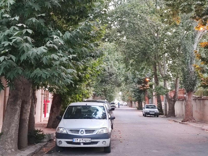 آفتاب کنگاور: هشتاد دستگاه 📸مریم مسرور ۲۳مرداد ۱۴۰۵هشتاد دستگاه 📸مریم مسرور ۲۳مرداد ۱۴۰۵