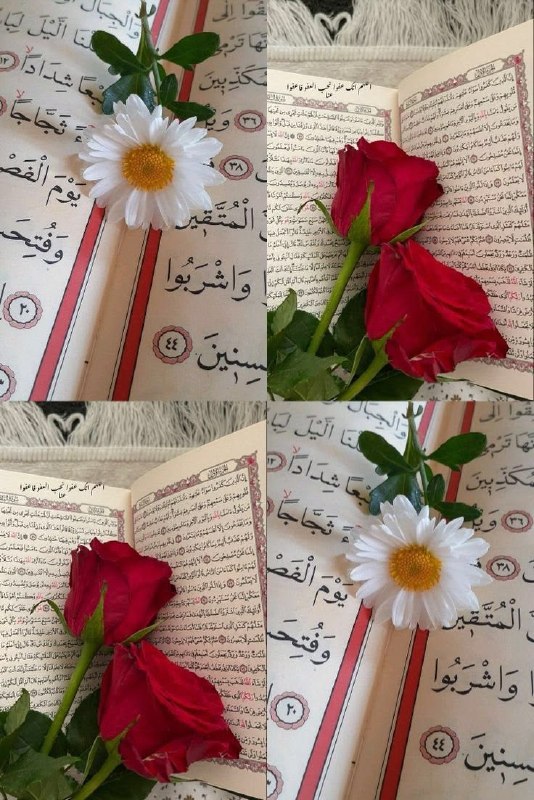 ❤️قُنِأَةَ َآلْﯙلْأَيُهُ فيُ حَبَ أَلْأَمَأَمَ عُلْيُ ❤️: -' مِن سَبب استقَامة القَلبِ وَسلامته كثرةُ الإستمَاع إلى القُرآن "🎧🫀