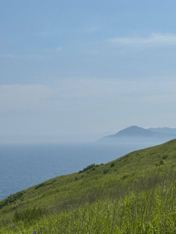 Неделя, как я в отпуске, и я наслаждаюсь красотой приморского края, любуясь невероятными пейзажами и цветом своих волос на фотографиях 🌹В такую жаркую погоду и при постоянном контакте с соленой водой особенно важно заботиться о качестве волос, чтобы они оставались здоровыми и красивыми. Напомню, я живу среди дикой природы, и сюрприз — прилетела с ручной кладью: купальник, авкатапки, кроссовки, очки, расческа, компьютерИменно поэтому я решила взять с собой впервые твердый шампунь (в формате мыла) — он измеряется не в миллилитрах, подойдет для всего тела, хорошо очищает кожу головы, не пересушивает волосы и является натуральным средством. Такой шампунь идеально подходит для походов и подобных путешествийТак что делаю выводы, твердый шампунь от бренда Kydra (голубого цвета) идеально подходит даже в экстремальных условиях отпускаЛишь бы вода была 🤭Неделя, как я в отпуске, и я наслаждаюсь красотой приморского края, любуясь невероятными пейзажами и цветом своих волос на фотографиях 🌹В такую жаркую погоду и при постоянном контакте с соленой водой особенно важно заботиться о качестве волос, чтобы они оставались здоровыми и красивыми. Напомню, я живу среди дикой природы, и сюрприз — прилетела с ручной кладью: купальник, авкатапки, кроссовки, очки, расческа, компьютерИменно поэтому я решила взять с собой впервые твердый шампунь (в формате мыла) — он измеряется не в миллилитрах, подойдет для всего тела, хорошо очищает кожу головы, не пересушивает волосы и является натуральным средством. Такой шампунь идеально подходит для походов и подобных путешествийТак что делаю выводы, твердый шампунь от бренда Kydra (голубого цвета) идеально подходит даже в экстремальных условиях отпускаЛишь бы вода была 🤭