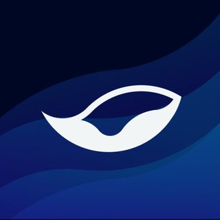 Phuture Official Telegram Group Link
