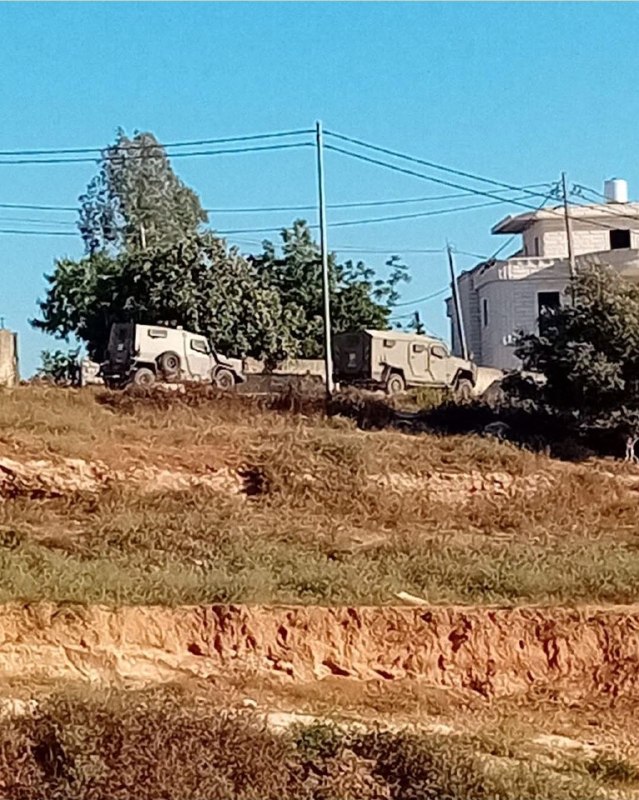 כוחות הכיבוש מסתערים על הכפר ג'מאלה, ממערב לרמאללה.