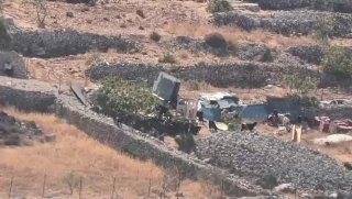 Urgent: Settlers release their animals to agricultural lands in the village of Baraka, east of Ramallah.