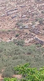 דחוף: משאיות נושאות קרוואנים ניידים למתנחלים יוצאות לכיוון הר עיבל מצפון לשכם.
