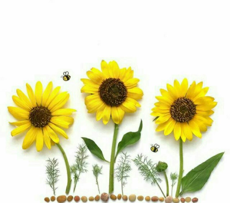 🌼 مهـــ❤️ـــربانی ها 🌼: هر روز صبح با اين انتظاراز خواب بيدار شوكه از روز قبل بهتر باشى🌸🌱🌺🍃🌺🍃🌺🌱👉 @Mehrabani_ha