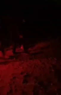 בתקיפות אוויריות ירדניות בדרעא שבסוריה נהרגו חמישה בני משפחה, בהם נשים וילדים. כלי תקשורת במדינה אישרו תקיפ…