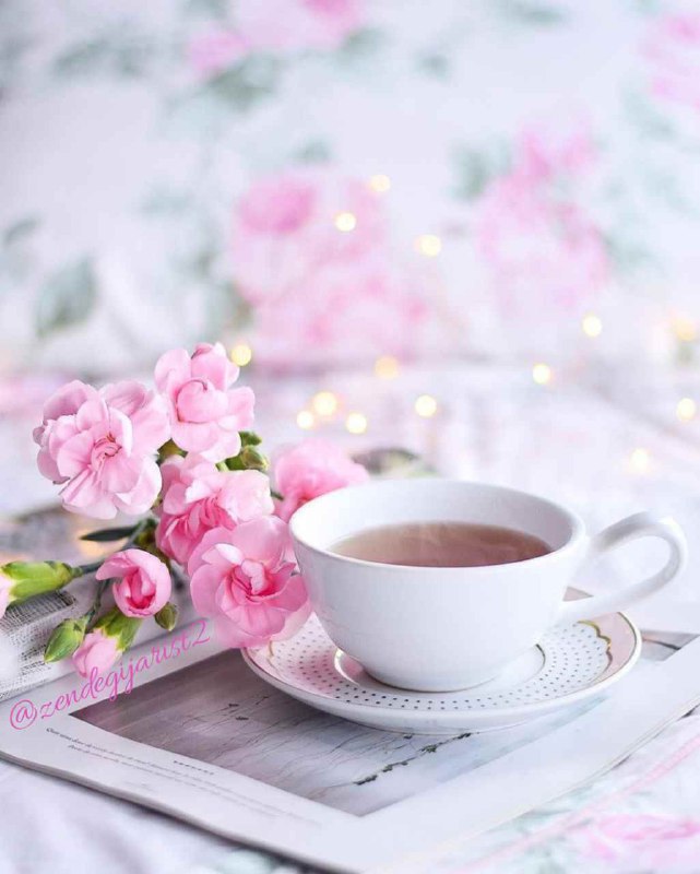 🌼 مهـــ❤️ـــربانی ها 🌼: آرزو می کنم 🌸🍃در این روز زیبـادلتون پر از محبت🌸🍃روزتون پُر از رحمت زنـدگیتون پر از بـرکت 🌸🍃لحظههاتون پر از موفقیتو عاقب
