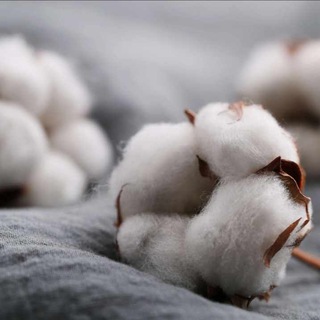 Uz_Textile_Primavata.Uz (Cotton.Yarn)