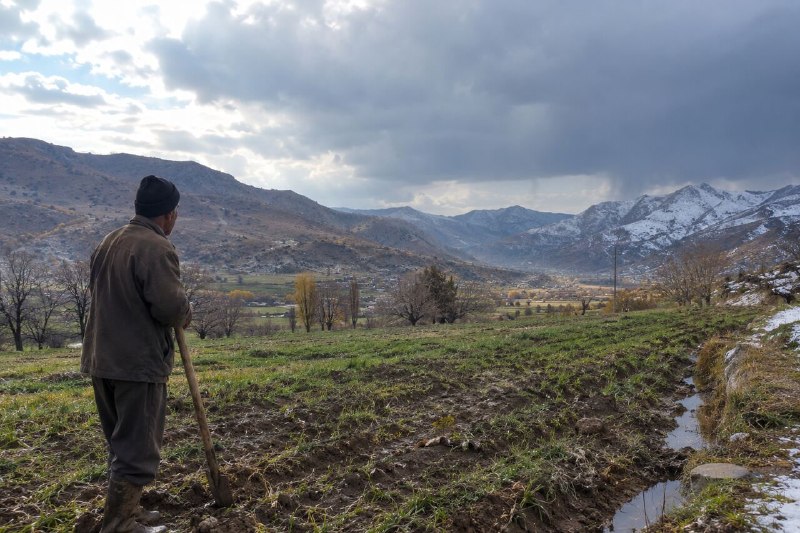 The many-faced autumn of Zagros; From waiting for rain to worrying about frost