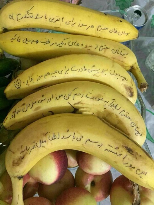 حَوّای‌ بی تو: 😂😂😂👍