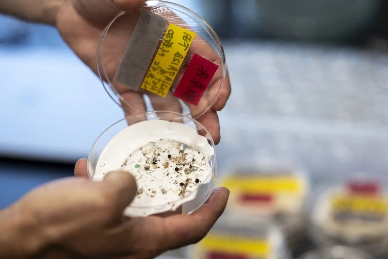 ♻️ Urban Air Packed With Micro- And NanoplasticsChinese researchers at the Institute of Earth Environment report that urban air in Guangzhou and Xi'an contains roughly 140,000–180,000 microplastic and nanoplastic particles per cubic metre—levels far higher than those previously measured and, the team says, up to a million times greater than estimates from traditional methods.The study is also the first to detect nanoplastics as small as ~200 nanometres in complex environmental samples, identifying city atmospheres as primary reservoirs of plastic particulates and underlining the need to reassess how airborne plastic pollution is monitored.Read More