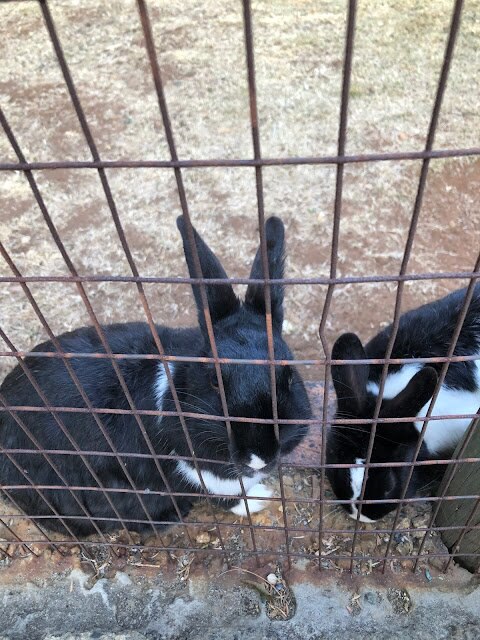 納米比亞(2): 太陽鳥、夜晚、水山高原