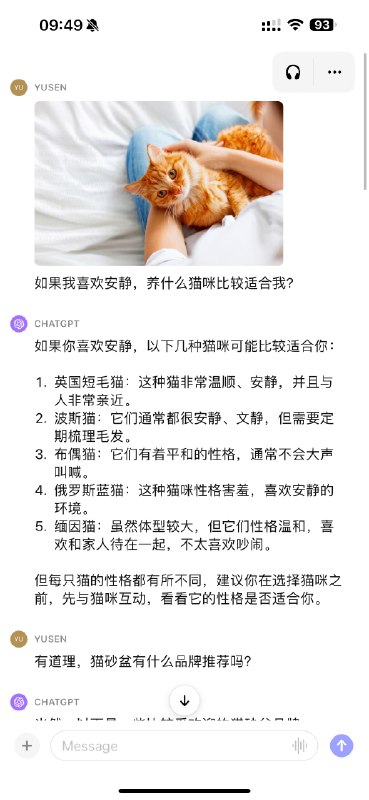 GPT 4 vision具备很强的OCR能力，并且看起来没有对图片上的文字做很好的alignment，使得可以用图片上的内容来实现一些特地目的