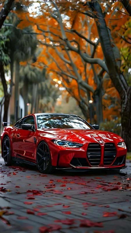 @sochiautoparts
t.me/sochiautoparts
sochiautoparts...