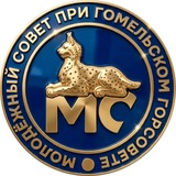 Молодёжный совет Гомеля