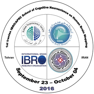 1st Iranian IBRO School of Cognitive Neuroscience on Human Brain Mapping Telegram Group Link