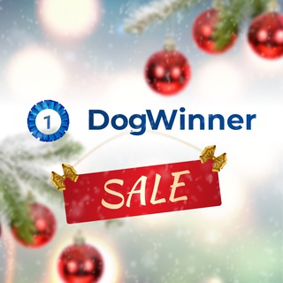 🐕 DogWinner: Чёрная пятница Telegram Group Link