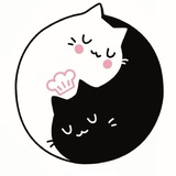 CatCake64