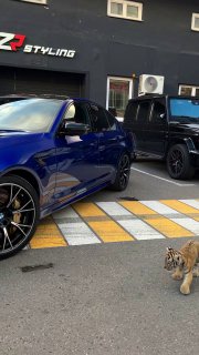 https://t.me/bmw_mpower_club