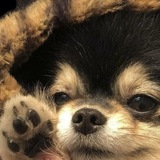 Ƭ𝖺𝖾𝗃𝗂𝗇𠈔🐾`