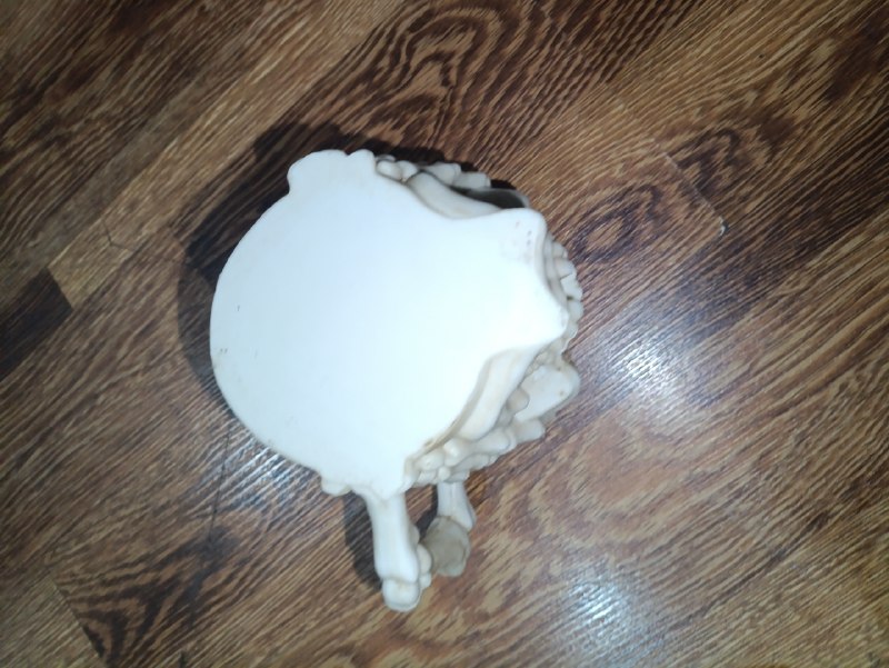 Продам кружку-череп — фото 1