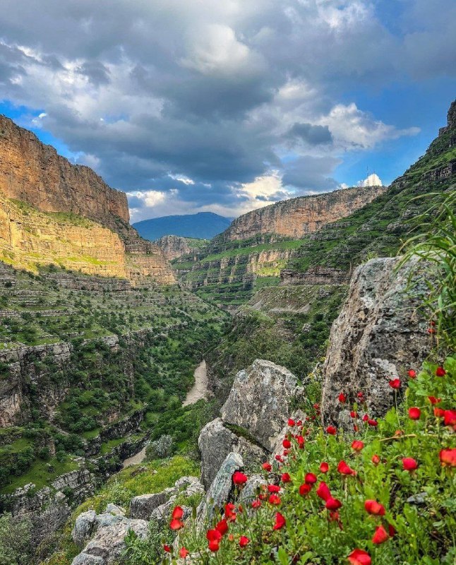 پایگاه خبری هاژه: هەرچیم هەیه، لێم بسێننبەڵام تۆ خوا بەر لەوەی كه بممرێنن،چنگێ خۆڵی وڵاتەكەمله دڵەكەم بپرژێنن✍لەتیف هەڵمەت🆔 @HajeNews