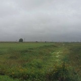 Deep Genealogy: к Западу от Москвы