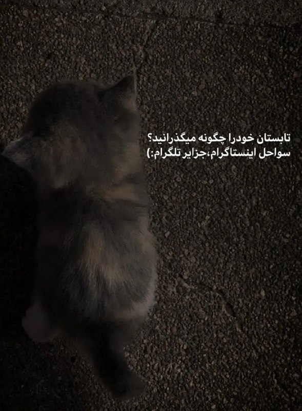 👑 شهر عکس 👑: 💜 @shahreeaks 💜