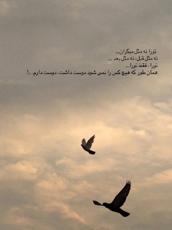 🌼 دهکده متن 🌼: تورا نه مثل دیگران…نه مثل قبل، نه مثل بعد ...تورا، فقط تورا...همان طور كه هيچ كس را نمى شود دوست داشت، دوست دارم. ..!🦋| 