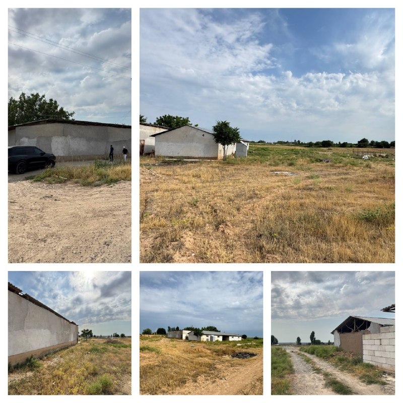 🏞️✨ INVESTITSIYA UCHUN AJOYIB TAKLIF!📍 Manzil: Toshkent viloyati, Koʻk Terak hududi, Oq Tom mahallasi📐 Yer maydoni: 180 sotix 🏭 Sanoat va ishlab chiqarish faoliyati uchun juda qulay 🚛 Asosiy tran