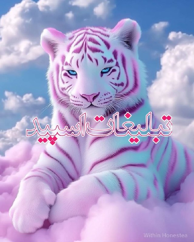 لینک یاب و گروه تلگرام: ❶﹚ نام : 𓆩⛧ جُـنـون ⛧𓆪 🖤.❷﹚ نو؏ تبلیغات : #telegram❸﹚ توضیحات :𓆩𝐕𝐈𝐏𓆪 یه جمع معمولی نیستیم... 🖤♕ 25+ | ورود مخصوص افراد خ
