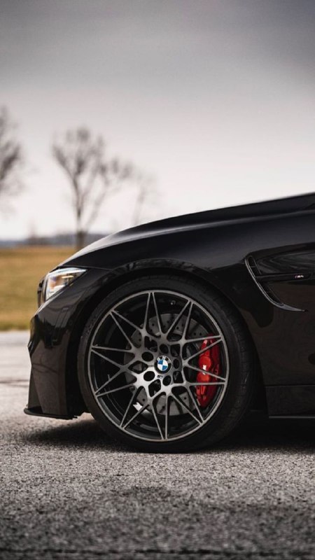 BMW M Powerhttps://t.me/bmw_mpower_club#bmw #mpower #bmwmpower #bmwworld #bmwmpo