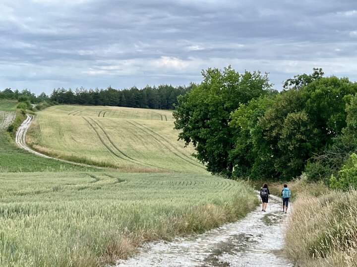 朝聖之路 2022 - 勒皮之路 Part 4