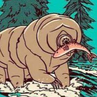 Биологические беруши Telegram channel profile photo