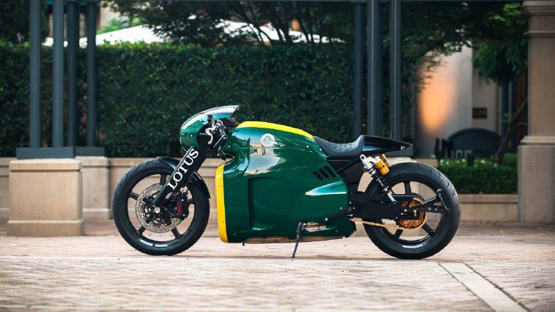 Lotus 3